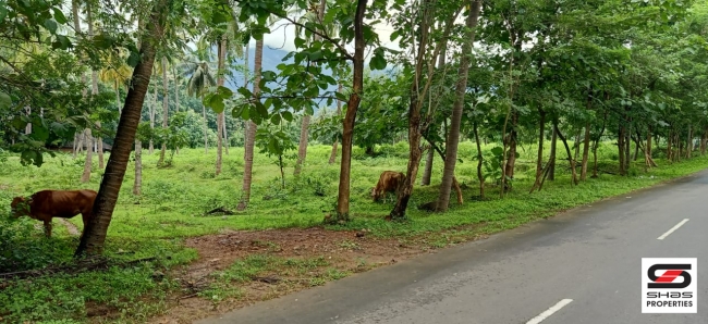 Farmland for sale in Malampuzha, Palakkad