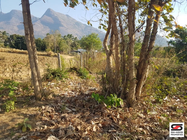 Farmland for Sale at Elevancherry, Palakkad