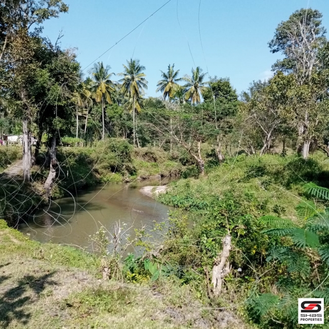 River view plot for sale at Pulpally, Wayanad
