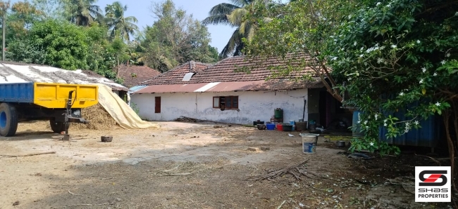 Residential land for sale in Thenkurissi, Palakkad