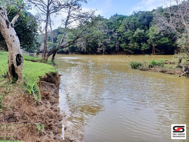 River view land for sale in Pulpally, Wayanad