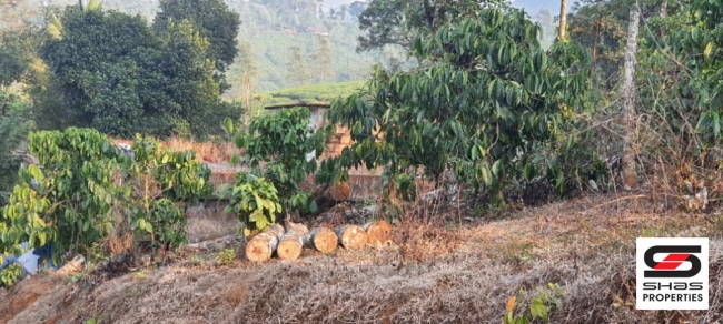 Land for sale near Vythiri, Wayanad