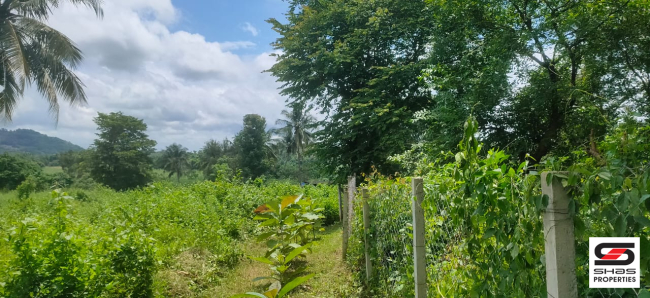 Resort land for sale near Malampuzha, Palakkad