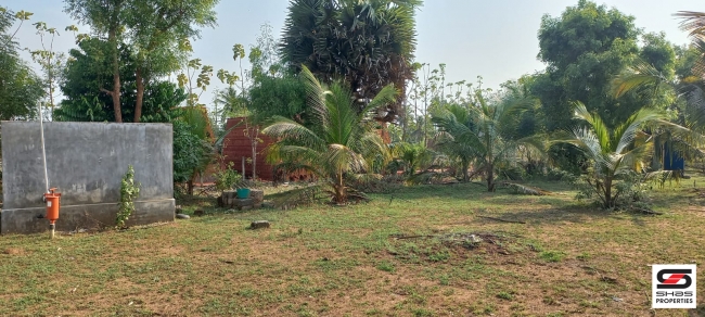 Farmland for sale in Eruthempathy, Palakkad