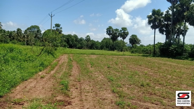 7 Acres land for sale in Velanthavalam, Palakkad