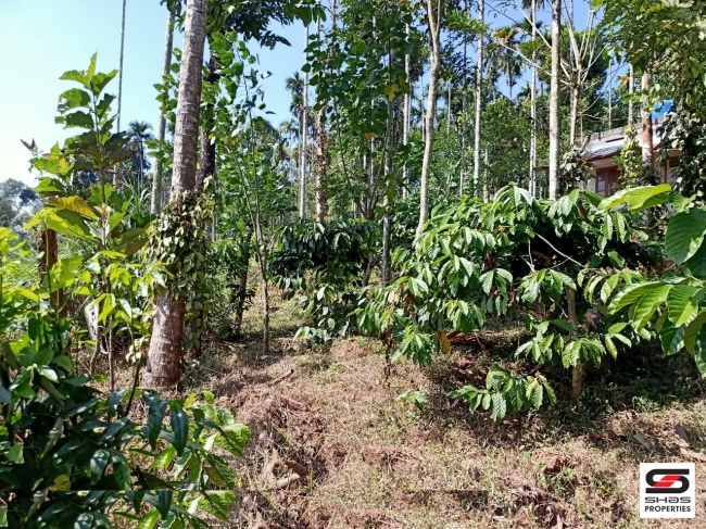 2 BHK House for sale at Sulthan Bathery, Wayanad