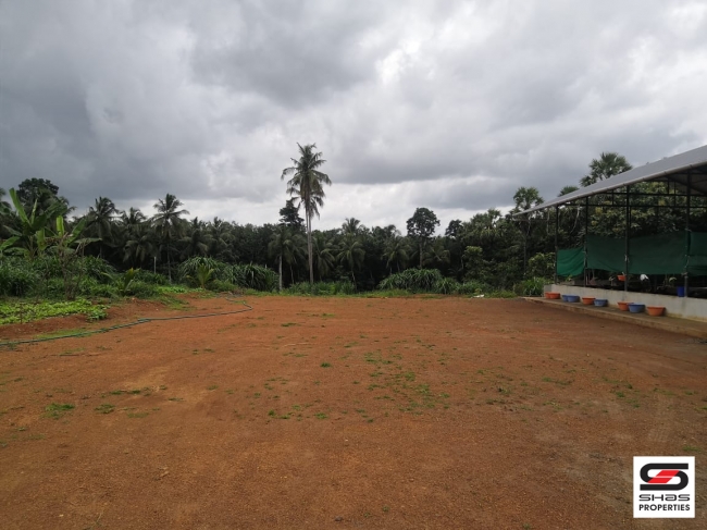 Dairy farm for sale at Vadakkanchery, Thrissur