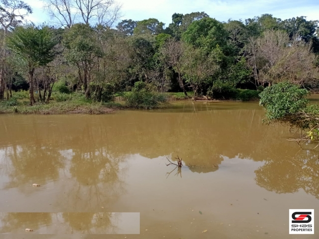 River view land for sale in Pulpally, Wayanad