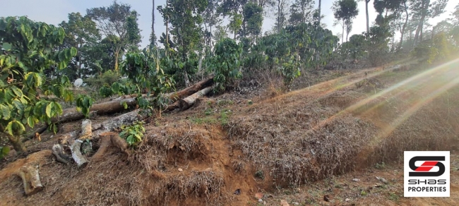 Land for sale near Vythiri, Wayanad