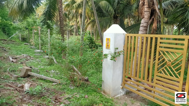 1 Acre farmland for sale in Ozhalapathy, Palakkad