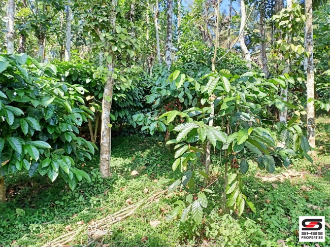 2 BHK House for sale at Sulthan Bathery, Wayanad