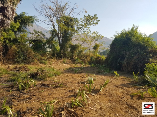 Farmland for Sale at Elevancherry, Palakkad