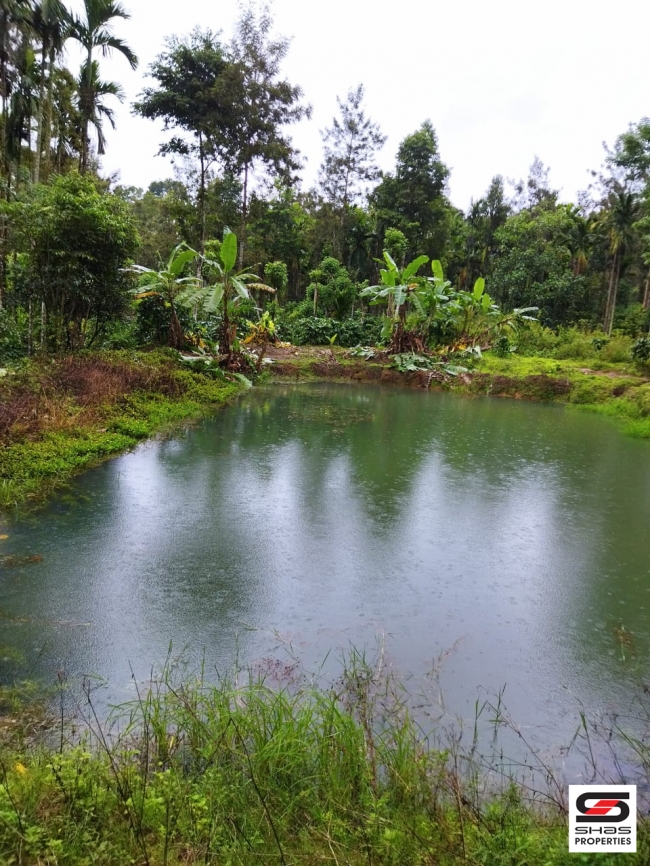 Coffee estate for sale in Virajpet, Coorg