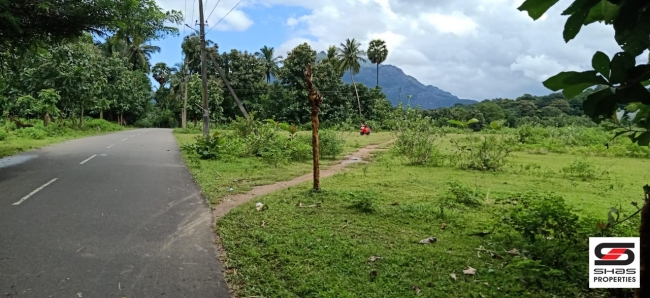 Farmland for sale in Malampuzha, Palakkad