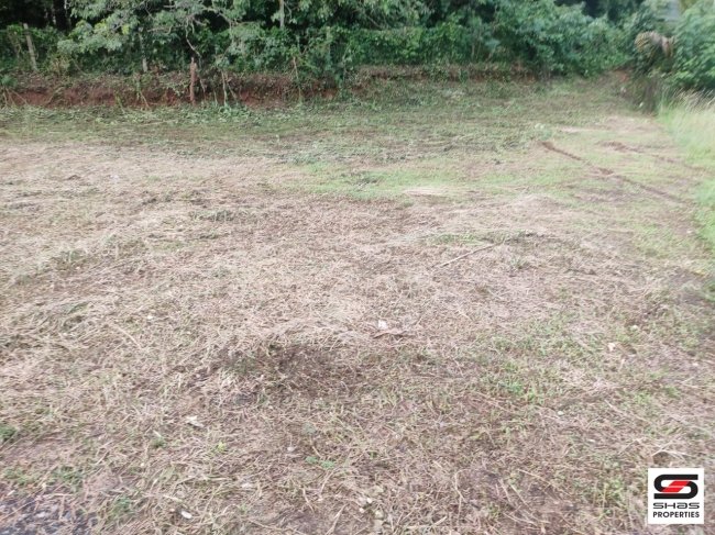 Residential plot for sale near Polytechnic College, Palakkad