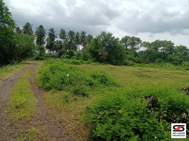 Industrial land for sale at Kanjikode, Palakkad