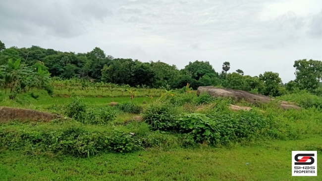 Farmland with farmhouse for sale at Pallassana, Palakkad