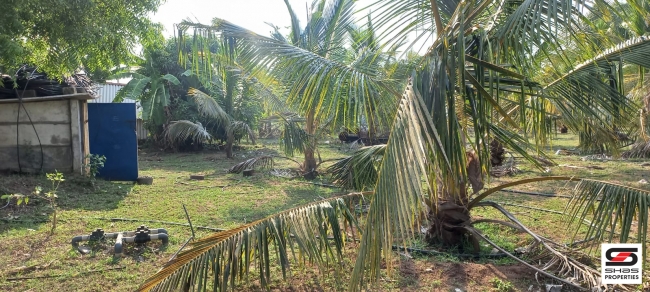 Farmland for sale in Eruthempathy, Palakkad