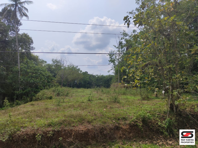 1 Acre plot for sale in Thodupuzha, Idukki
