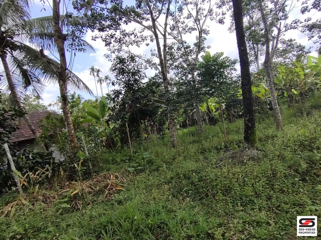 Land with house for sale near Nellimalam town, Wayanad