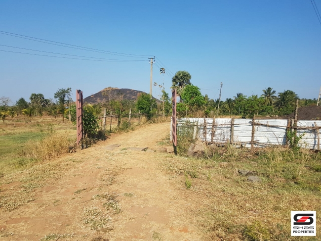 Farmland for Sale at Elevancherry, Palakkad