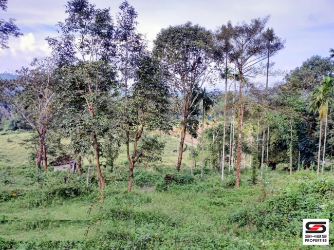 River view land for sale in Pulpally, Wayanad
