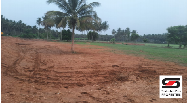 Agricultural land for sale in Coimbatore, Tamil Nadu