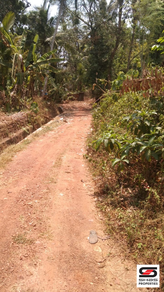 Plot with old house for sale in Mundayad, Kannur
