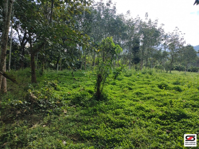 1 Acre Land for sale at Nellimalam, Wayanad