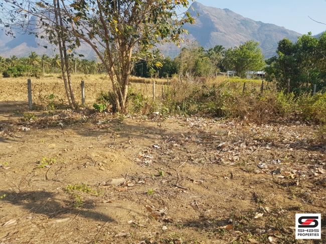 Farmland for Sale at Elevancherry, Palakkad