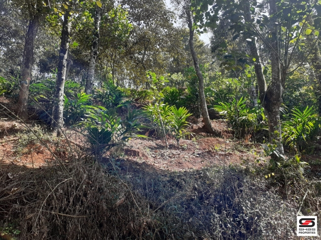 Cardamom farm land for sale In Attappadi, Palakkad