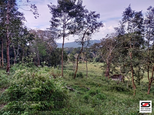 River view land for sale in Pulpally, Wayanad