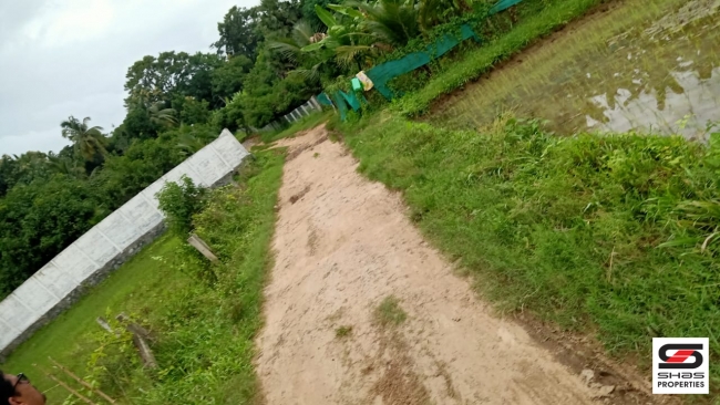 Farmland with farmhouse for sale at Pallassana, Palakkad