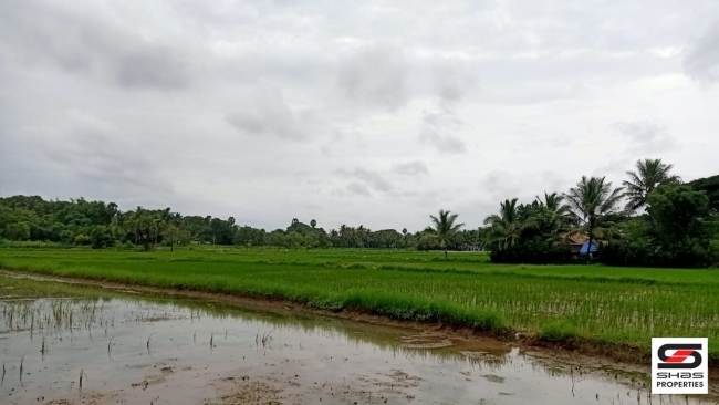 Farmland with farmhouse for sale at Pallassana, Palakkad