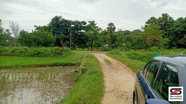 Farmland with farmhouse for sale at Pallassana, Palakkad