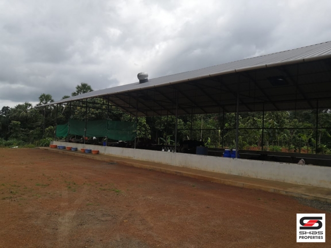 Dairy farm for sale at Vadakkanchery, Thrissur