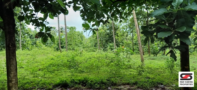 Farmland for sale in Malampuzha, Palakkad