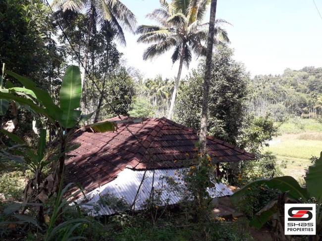 Land with house for sale in Kenichira, Wayanad