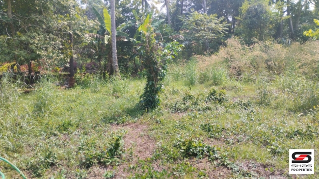 Plot for sale in Alavil, Kannur