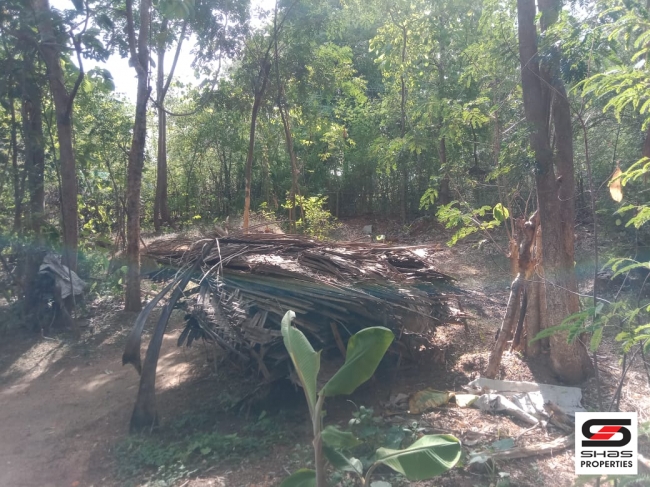 27 Cent house plot for sale In Pallassana, Palakkad