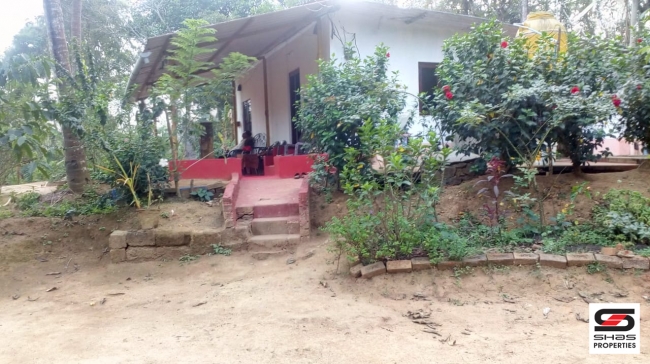 Farmland with farmhouse in Virajpet, Coorg for sale