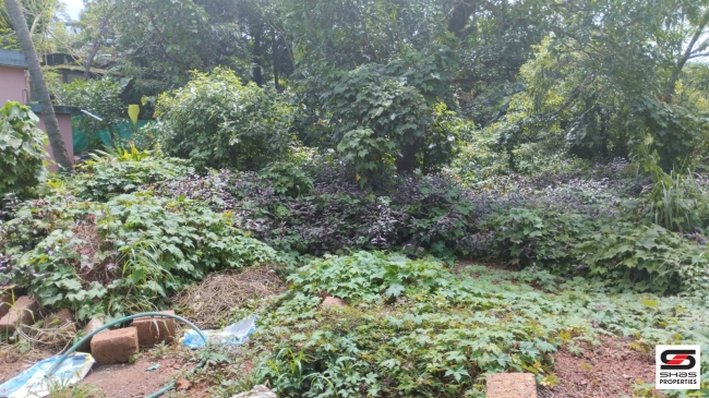 Residential  plot for sale at Kakkad, Kannur