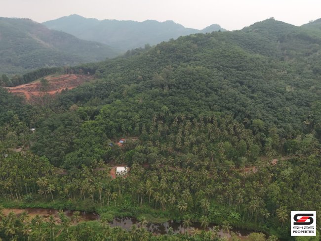 27 acre land with cottage for sale in palakkayam palakkad 