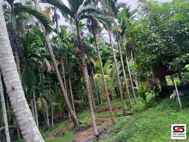 Farmland for sale in Kongad, Palakkad