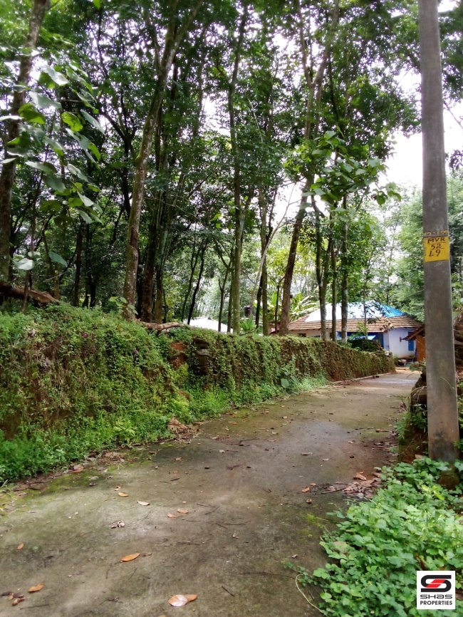 Plot for sale in Kothamangalam, Ernakulam