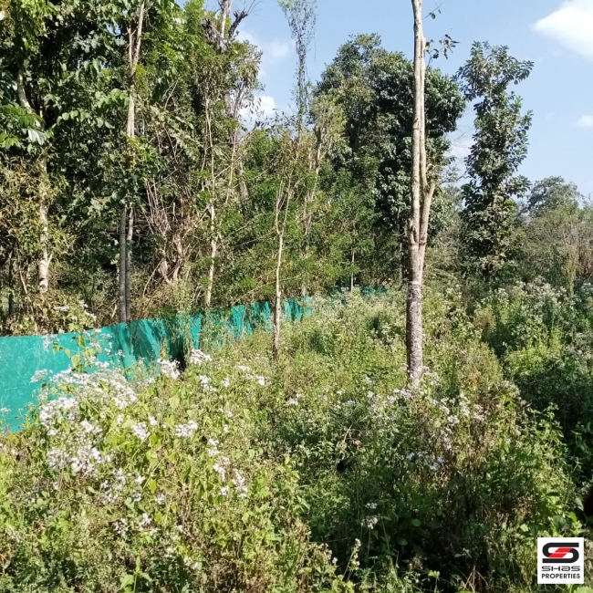 River view plot for sale at Pulpally, Wayanad