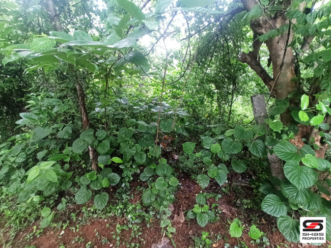 House plot for sale at Melarcode, Palakkad