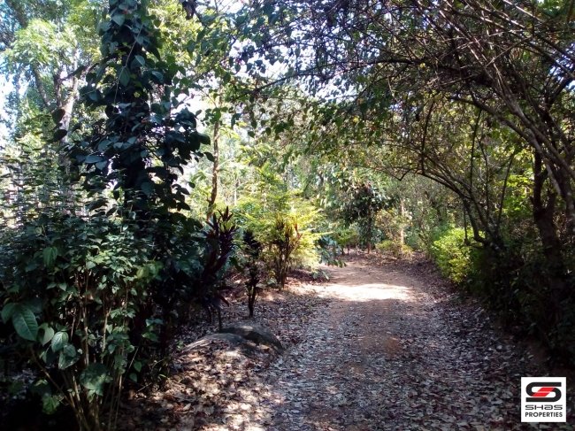 Farmland for sale at Kadagadal, Coorg