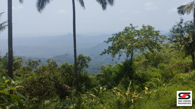Land for sale in Paithalmala, Kannur