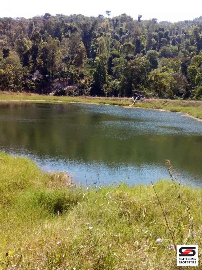 Plantation for sale near Chikmagalur, Karnataka